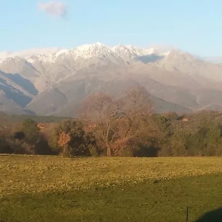 Sakura Vera Πανσιόν Villanueva De La Vera